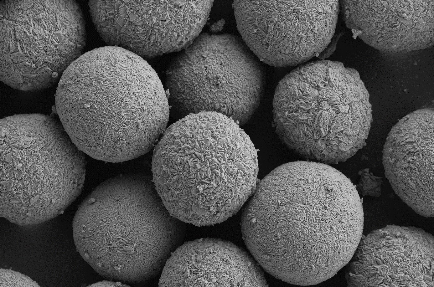 With Powder-Up!, the ZSW is expanding its possibilities for synthesising battery materials up to the 100-kilogram scale. The picture shows a scanning electron microscope image of the particles of a cobalt-free cathode material, produced at ZSW. Photo: ZSW