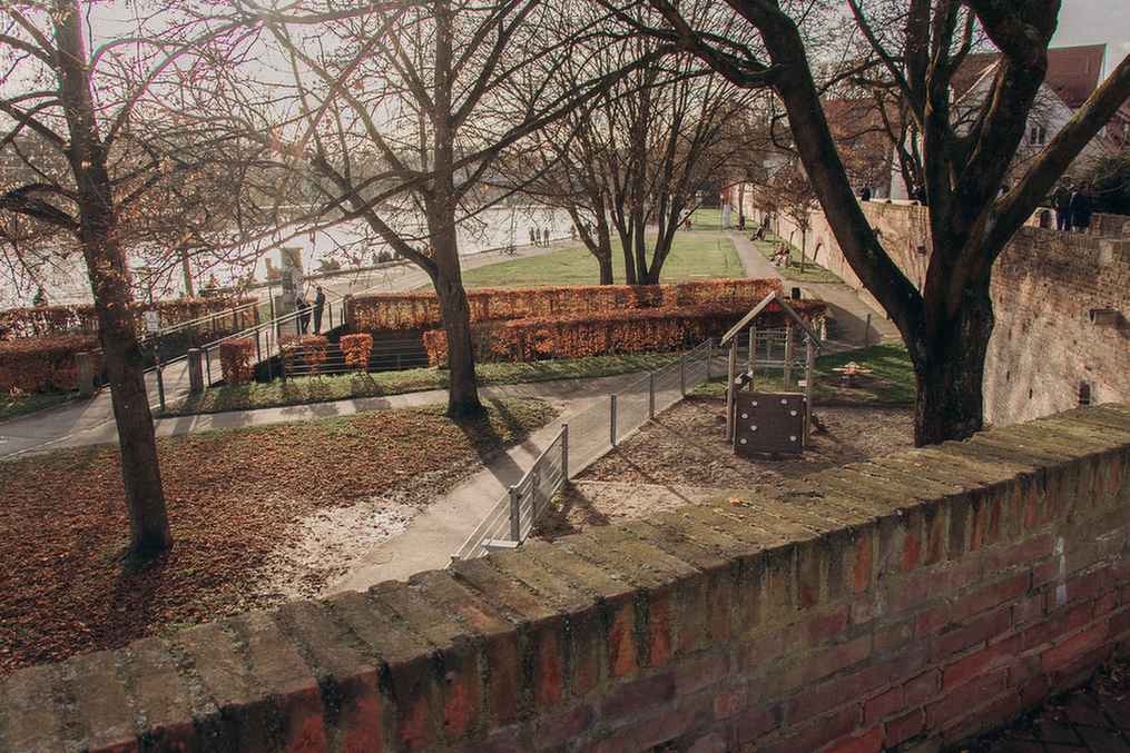 Gruenanlage in Ulm mit Fußweg und Baeumen im Herbst, symbolisch fuer Leben und Arbeiten in der Region